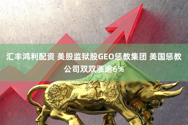 汇丰鸿利配资 美股监狱股GEO惩教集团 美国惩教公司双双涨逾6%